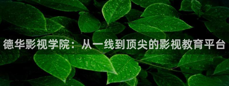 新闻图片