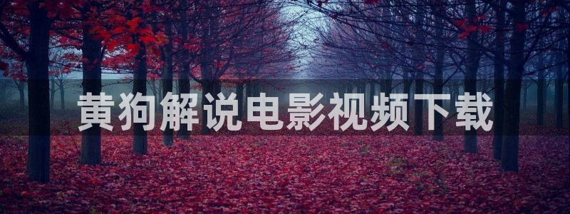 在线电影星辰