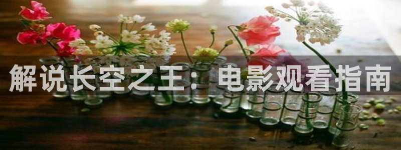 星辰免费高清影院在线观看