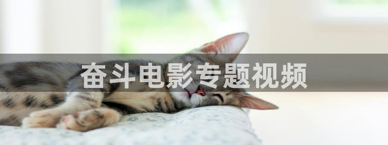 妇产科男医生电视剧星辰影院