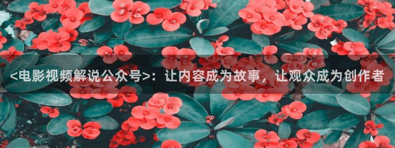 当我飞奔向你电视剧星辰影院