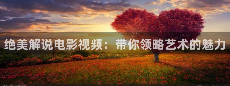 星辰影视官网入口