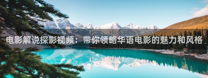 九重紫电视剧星辰影视