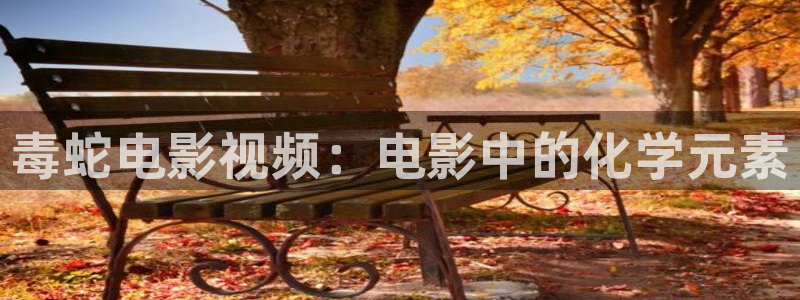 归路电视剧星辰影视