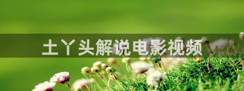晓朝夕电视剧星辰影院