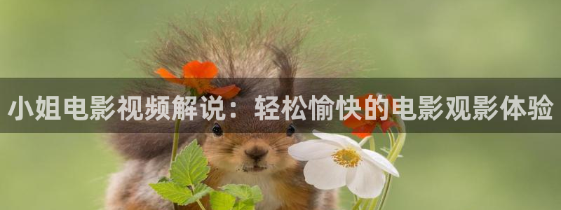 神马影院电视剧免费观看完整版星辰令