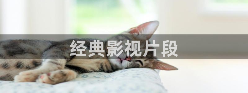 影院在线观看星辰
