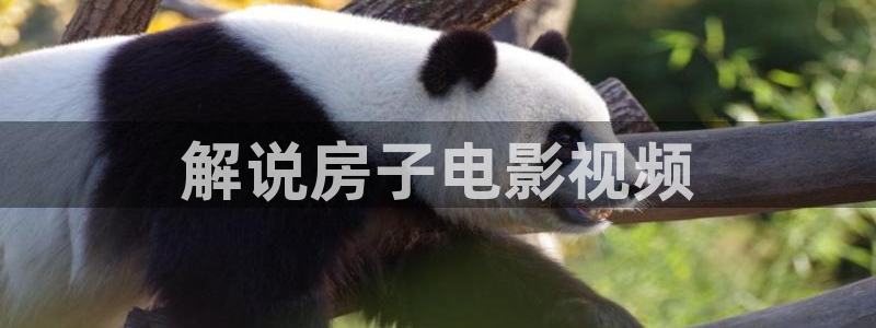 星辰影院在线免费看