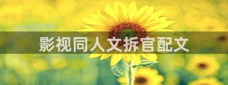 星辰影院繁花