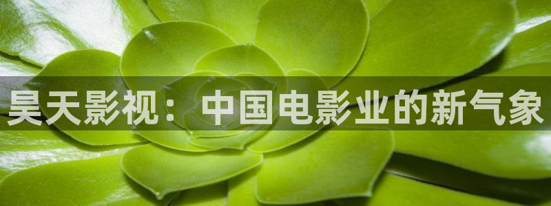 星辰高清在线看免费