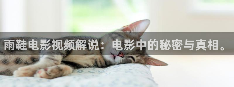 星辰在线观看影院