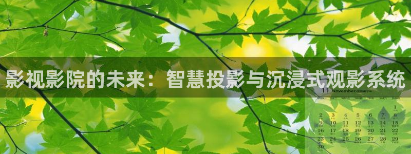 家的n次方星辰影院