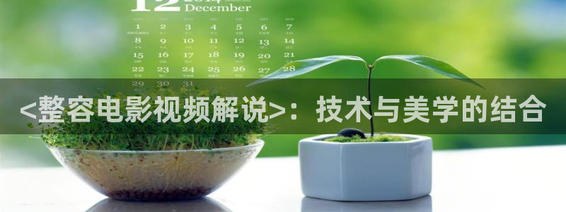 星辰影视在线观看电视剧