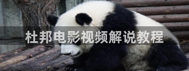 大明王朝1566星辰影院