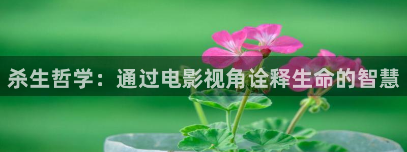 星辰影院tv版