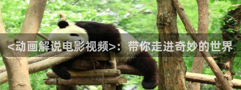 猎罪图鉴2在线观看星辰影院