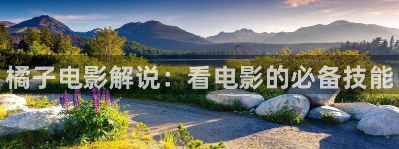 星辰影院免费观看电视剧电影下载