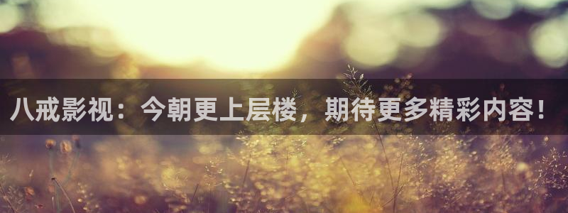 我的后半生电视剧全集免费观看星辰影院