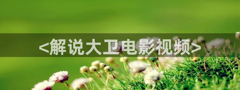 星辰影视大全