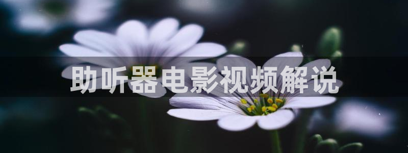 星辰高清影院免费大全最新