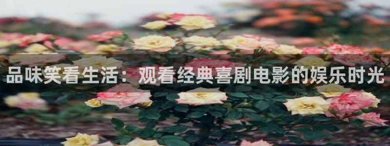 外出2星辰影院