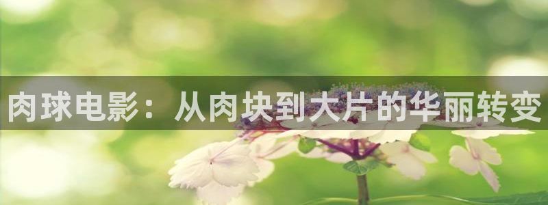 天盛长歌免费观看星辰影院