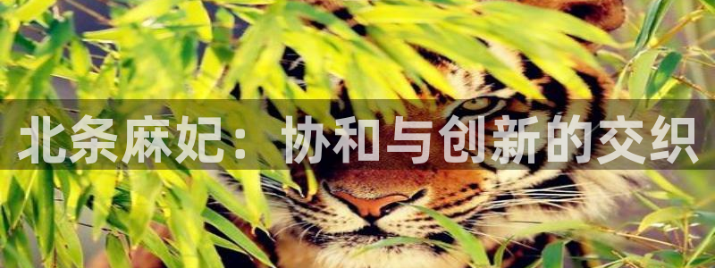 星辰于我漫画下拉式奇漫