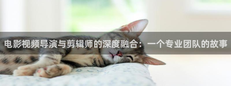 星辰影院在线观看大全